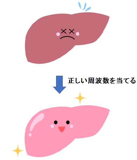 画像に alt 属性が指定されていません。ファイル名: %E8%82%9D%E8%87%93-1.png